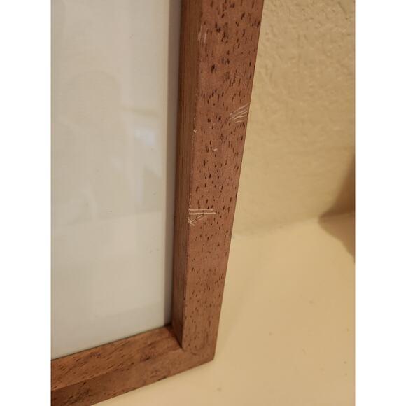 Framed J. & E. Gould - Nectarina Famosa Lithograph Print 17 1/2 x 21 1/2" - Picture 14 of 16